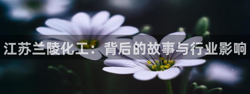 球盟会头号玩家