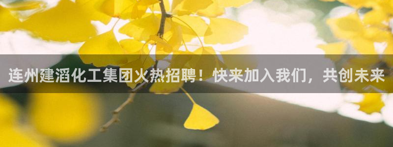 球盟会官方版下载地址