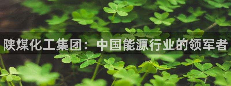 球盟会黑：陕煤化工集团：中国能源行业的领军者