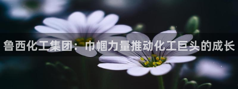 球盟会登录网址：鲁西化工集团：巾帼力量推动化工巨头的成长