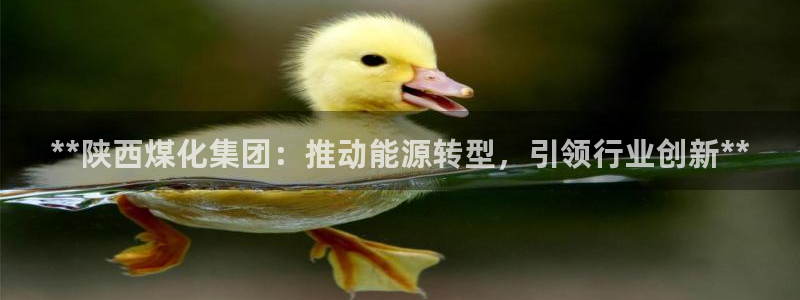 球盟会能退钱吗是真的吗：**陕西煤化集团：推动能源转型，引领