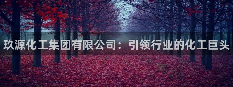 球盟会可以提现么现在