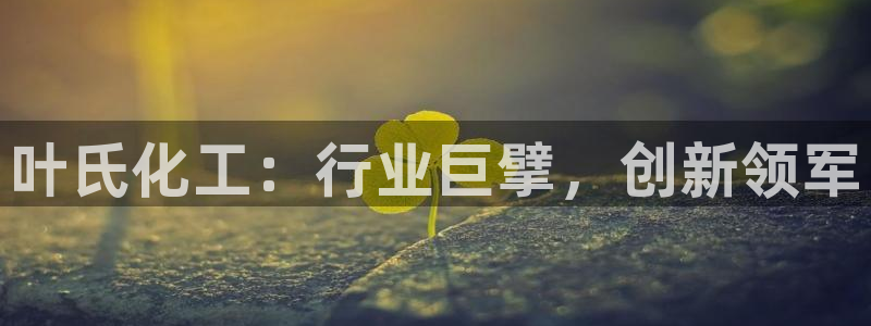 球盟会qm8597