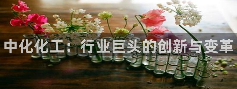 球盟会乐虎