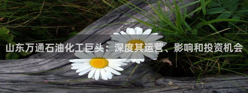 球盟会在线登录官网