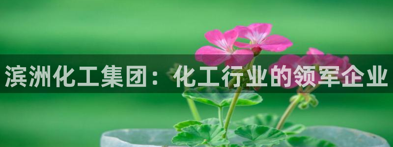 球盟会登陆中心
