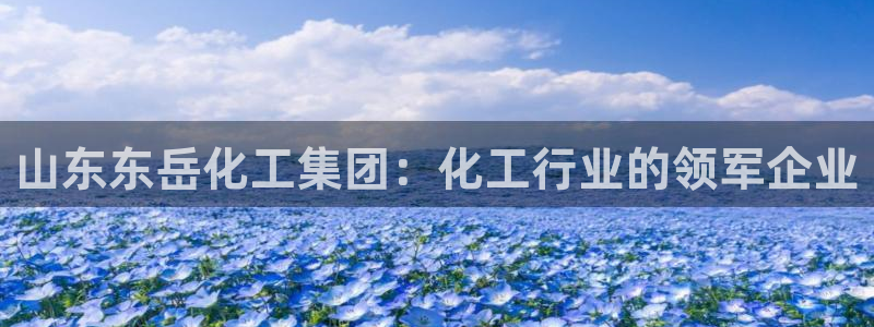 球盟会qmh网址