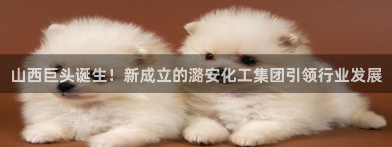 球盟会优惠券