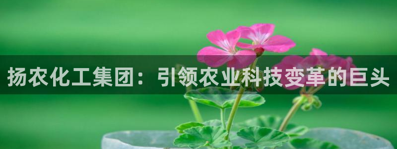 球盟会平台会黑单吗