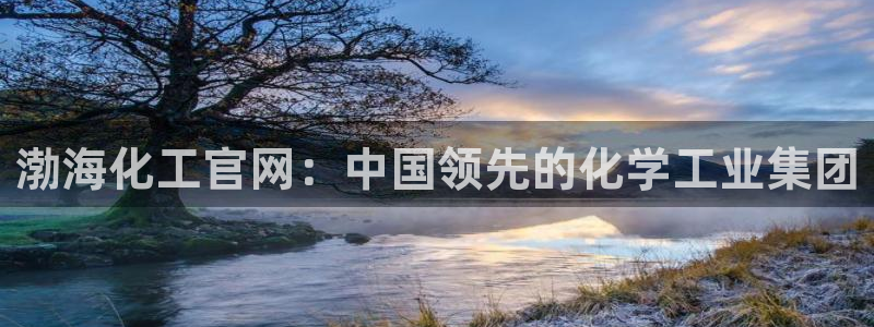 球盟会qmh登录地址