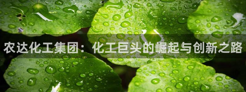 球盟会下载最新版
