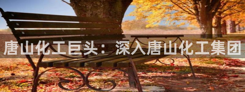 球盟会邮箱