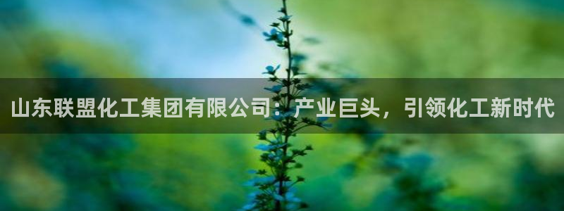 球盟会平台会黑单吗