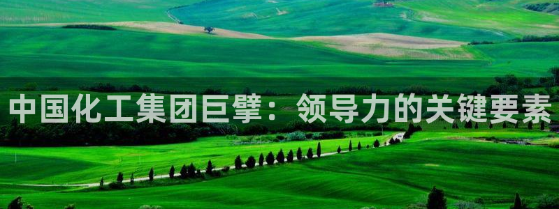 球盟会黑