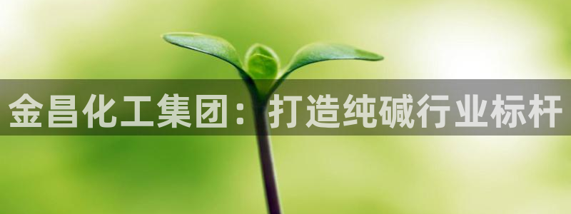 球盟会app入口