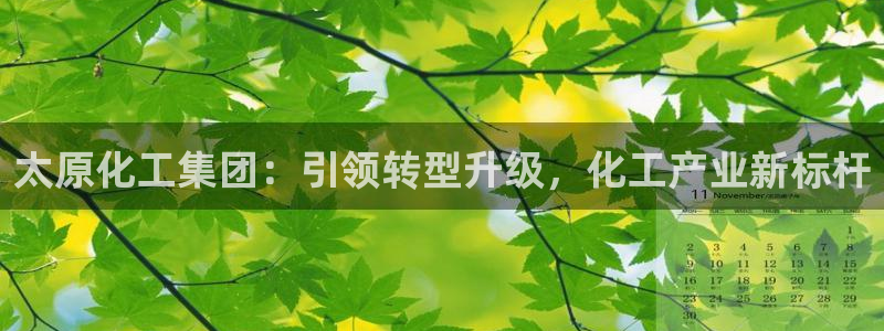球盟会官方网页登录