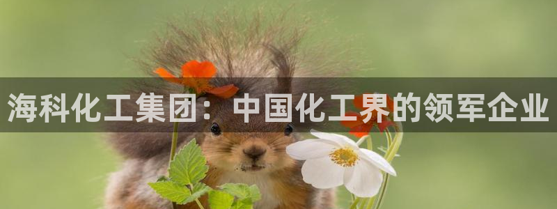 球盟会官方网站app