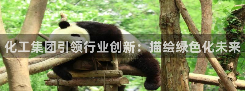 球盟会登陆中心