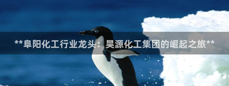 球盟会最新