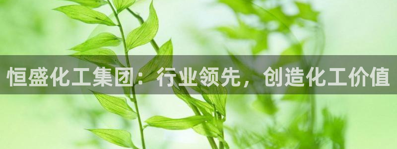 球盟会电子