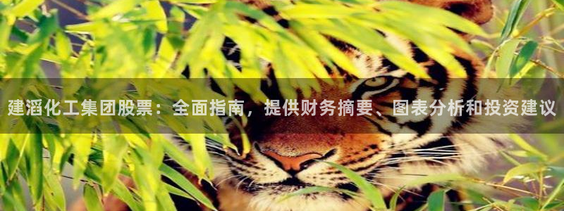 球盟会黑网