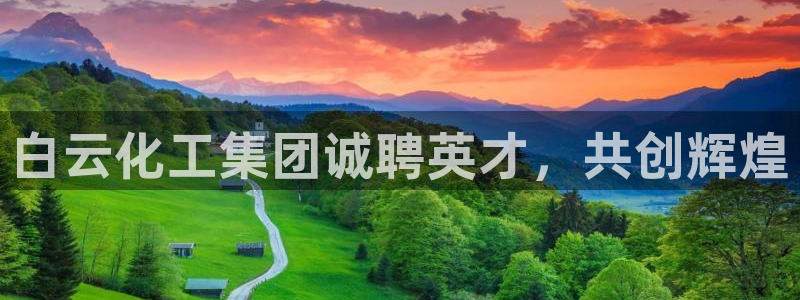 球盟会官方网入口