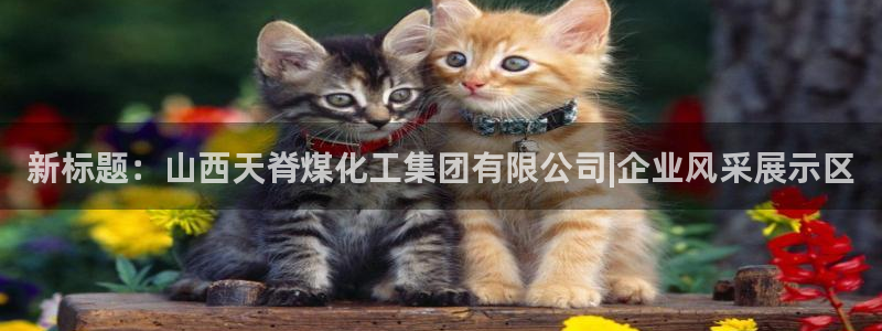 球盟会APP最新地址