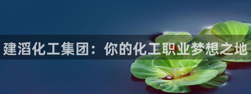 球盟会中国网页登录