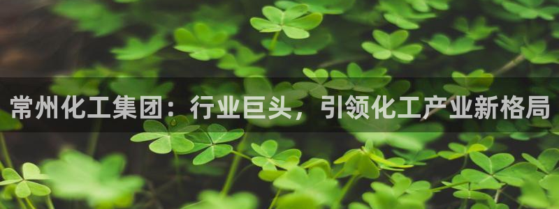 球盟会官方下载