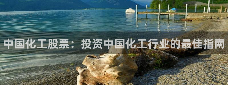 球盟会黑台子