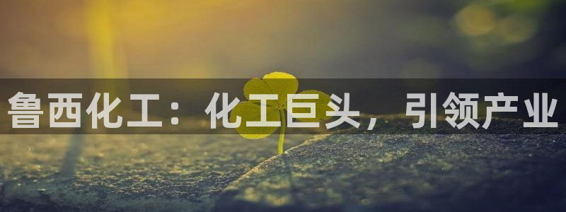 球盟会和中欧合作吗