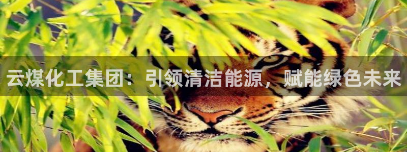 球盟会能退钱吗知乎