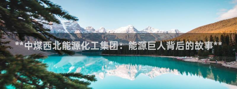 球盟会登录平台入口
