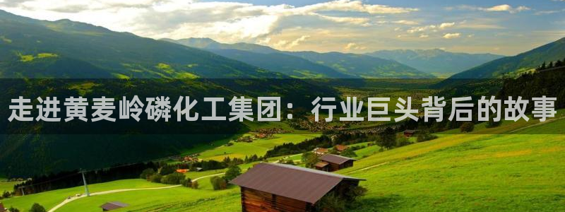 球盟会官方网页登录