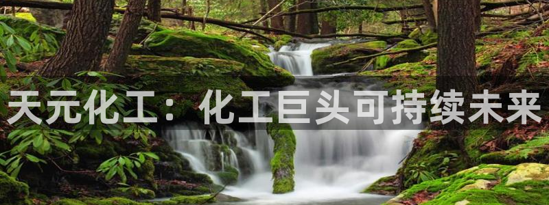球盟会官网入口