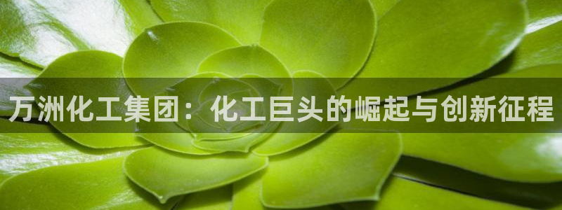 球盟会在线网站