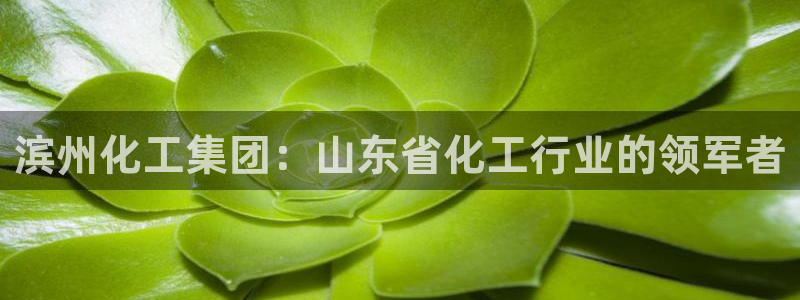 球盟会qmh - 球盟会官方网站