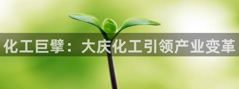 球盟会APP最新地址