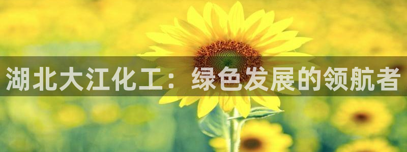 球盟会提款支付宝怎么样