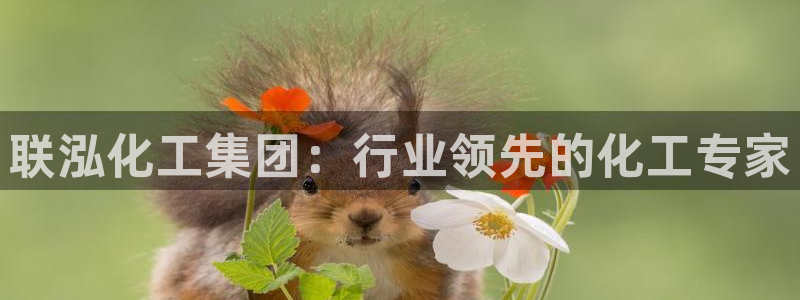 球盟会官网网页版