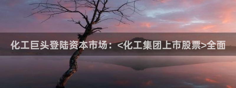 球盟会进不去吗