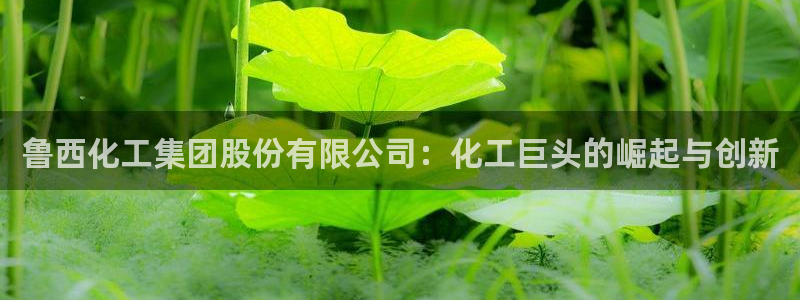 球盟会体育app官方网站：鲁西化工集团股份有限公司：化工巨头