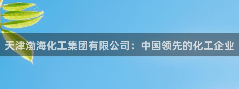 球盟会黑款吗还是白款：天津渤海化工集团有限公司：中国领先的化