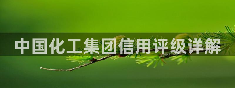 球盟会综合体育平台