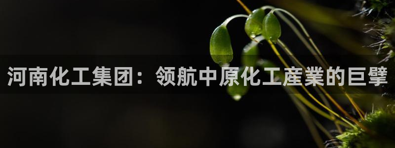 球盟会官网app下载