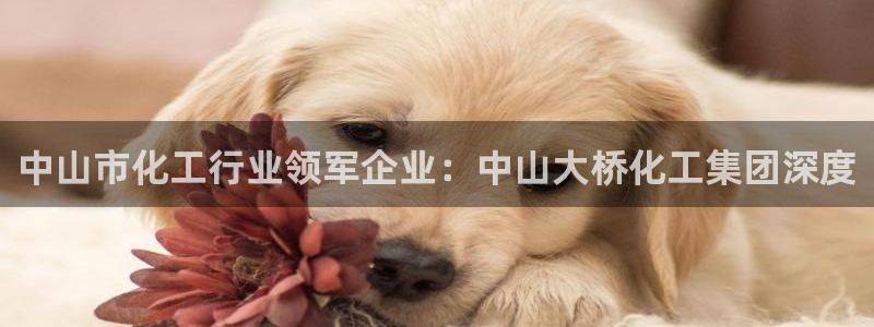 球盟会黑款吗是真的吗：中山市化工行业领军企业：中山大桥化工集