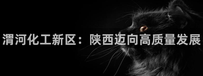 球盟会有没有黑单的活动：渭河化工新区：陕西迈向高质量发展