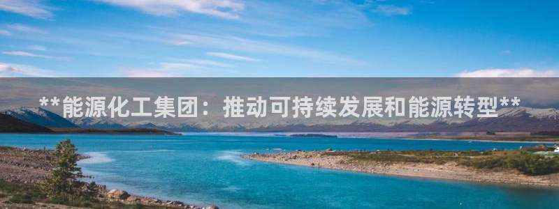 球盟会论坛：**能源化工集团：推动可持续发展和能源转型**