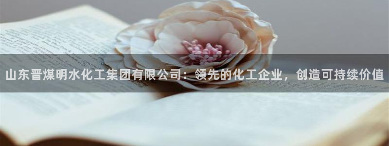 球盟会优惠领取网站是真的吗：山东晋煤明水化工集团有限公司：领