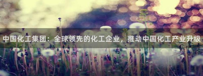 球盟会最新网